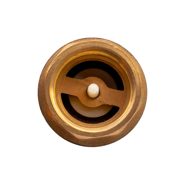 5002 ZAWÓR ZWROTNY DO WODY 4.jpg