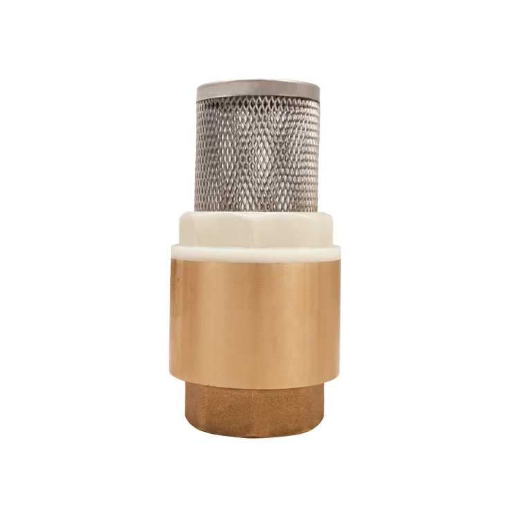 IDMAR Zawór zwrotny 1" z filtrem (DN25)-3