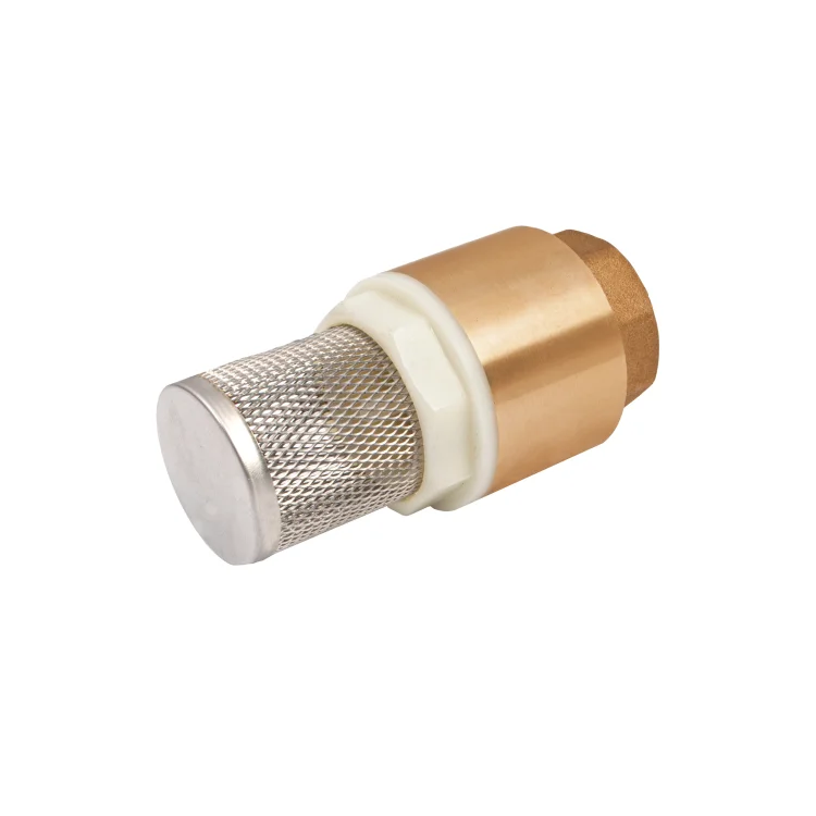 IDMAR Zawór zwrotny1” z filtrem - TEKNIK - bilster-2