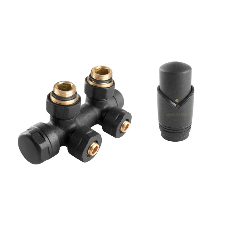 Zestaw termostatyczny duoplex kątowy antracyt typ 409; OPTAZDUOA.444