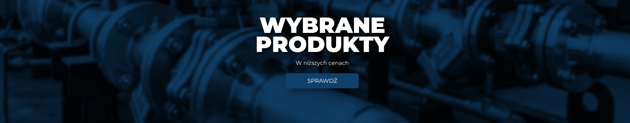 Wybrane produkty w niższych cenach